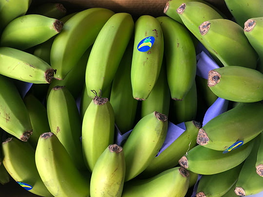 Plátano de Canarias verde Martimar